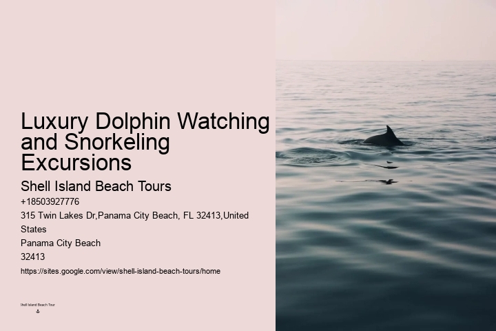 Panama City Beach dolphin discovery tours