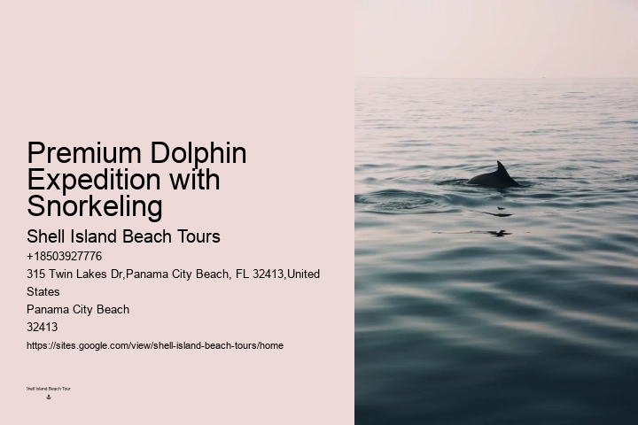 Guided Dolphin Spotting and Snorkeling Tours