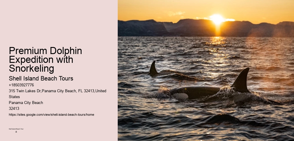 Can I request a specific guide for my dolphin tour
