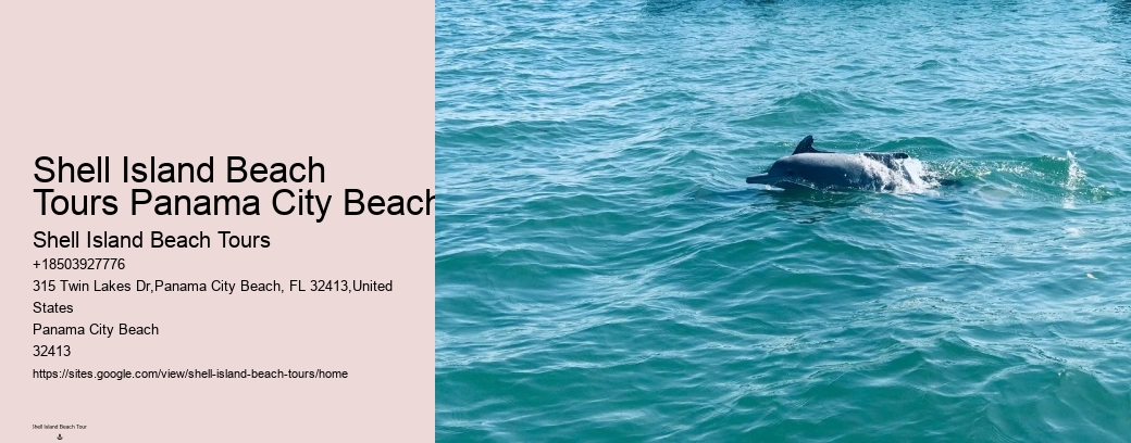 Shell Island Beach Tours Panama City Beach