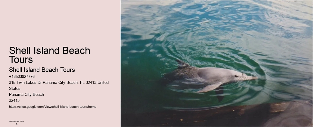 Panama City Beach Dolphin Tours & More