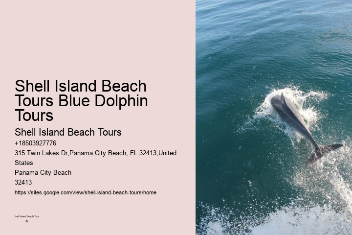 Panama City Beach Dolphin Tours Prices