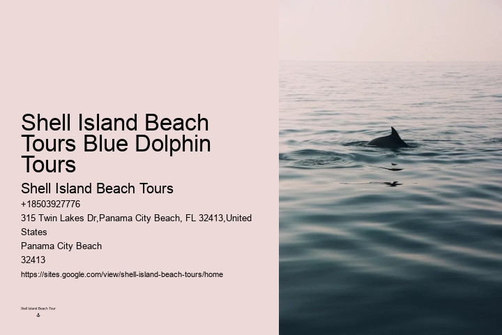 Private Dolphin Snorkeling Tours