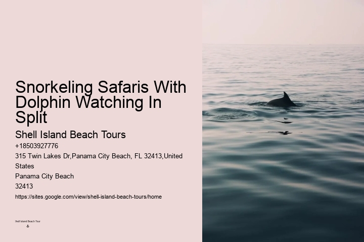 Can You Wear Sunscreen When Swimming With Dolphins