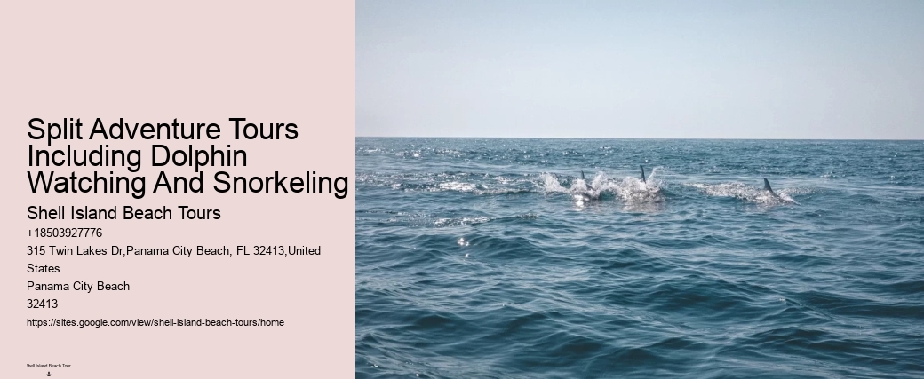 What You Can Do For Strandings