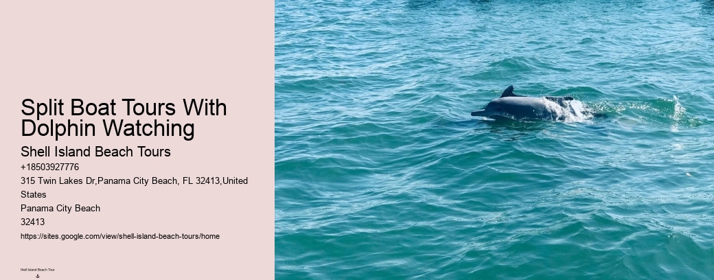 Split Boat Tours With Dolphin Watching