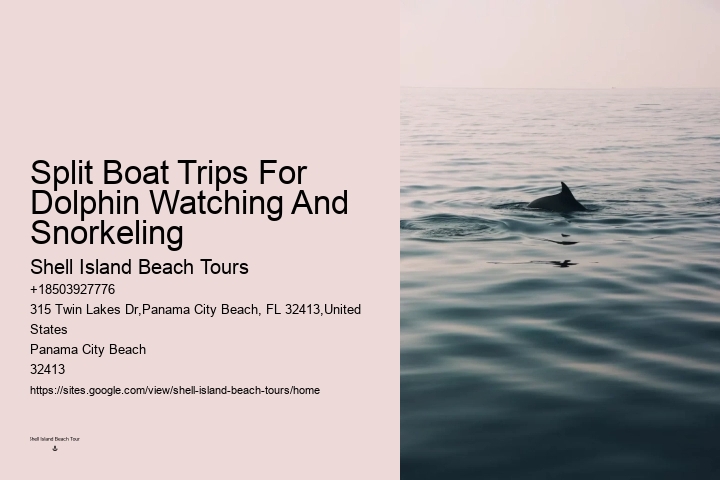 Panama City Beach dolphin expedition cruises