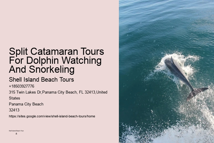 Marine mammal research