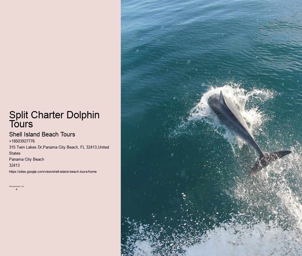 Sweet Sunsets And Dolphin Tours