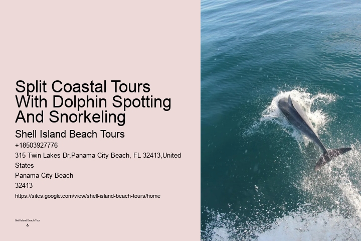 Secluded Dolphin Adventure and Snorkeling Experience