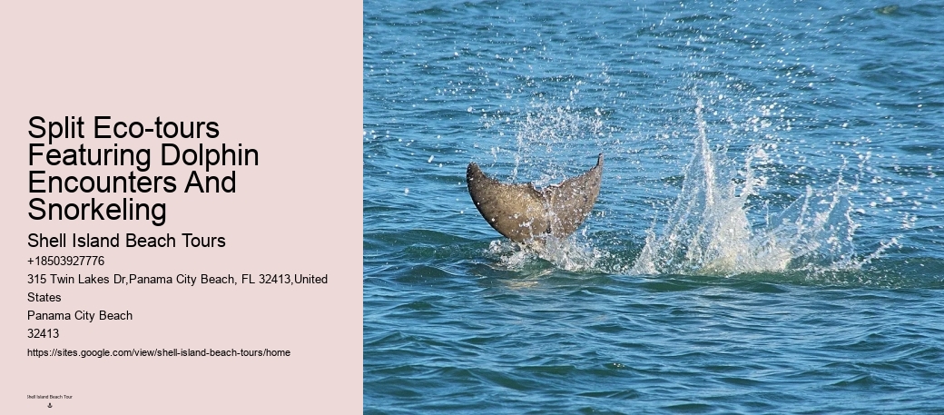 Are Dolphins Naturally Friendly Toward Humans If So