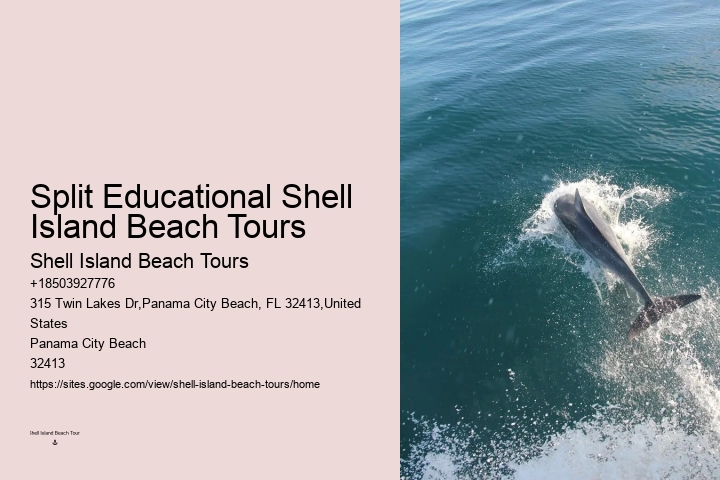 Split Thrilling Snorkeling And Dolphin Encounters