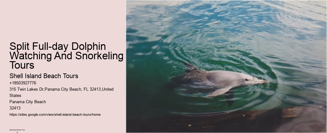 Island Excursion And Dolphin Watch