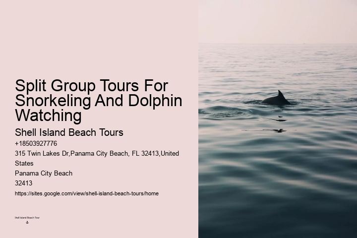 Intimate Dolphin Encounter and Snorkeling Tours