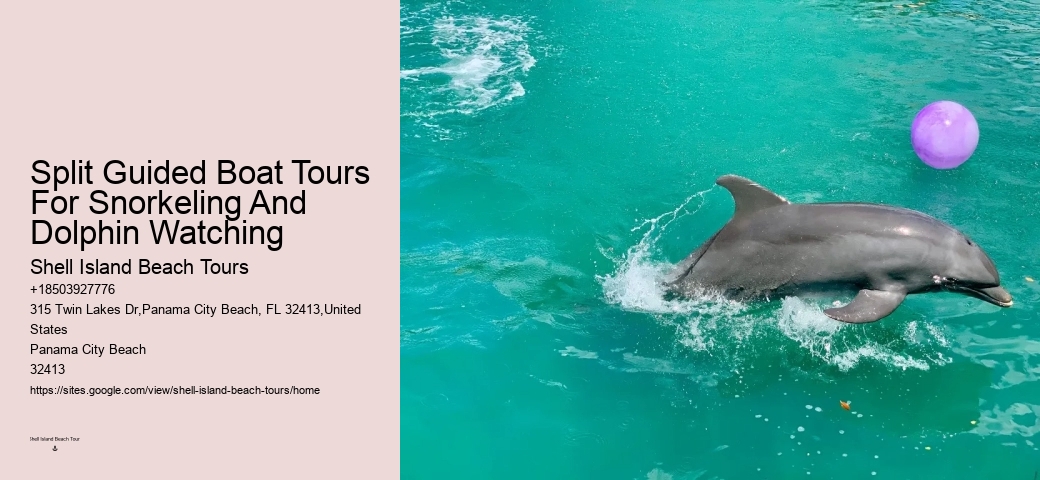 Shell Island Beach Tours Review