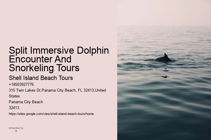 Behind The Smiles: The Suffering Endured By Captive Dolphins