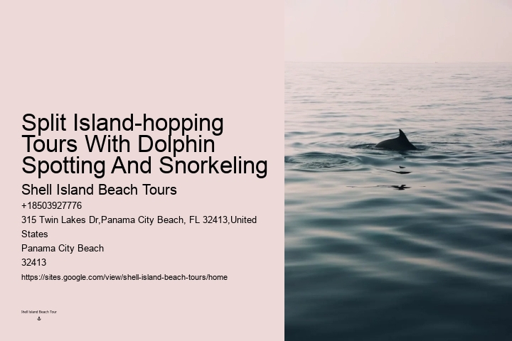 Exclusive Dolphin Discovery and Snorkeling Trips