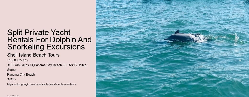 Split Private Yacht Rentals For Dolphin And Snorkeling Excursions