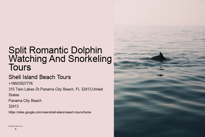 Do Dolphins Ever Bite Hooks