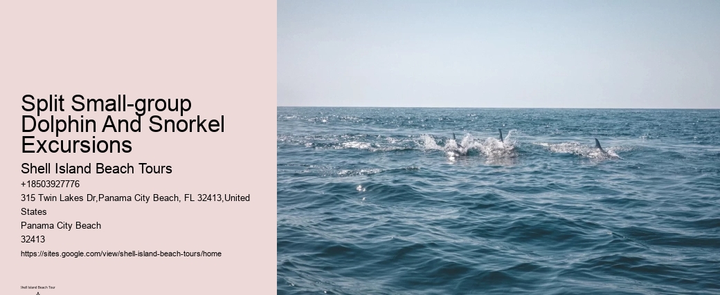 Split Eco-tours Featuring Dolphin Encounters And Snorkeling