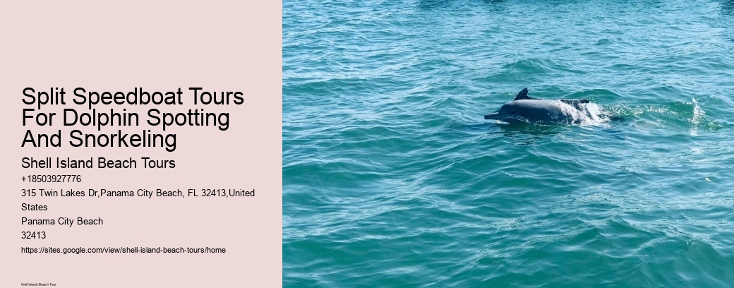 Split Speedboat Tours For Dolphin Spotting And Snorkeling
