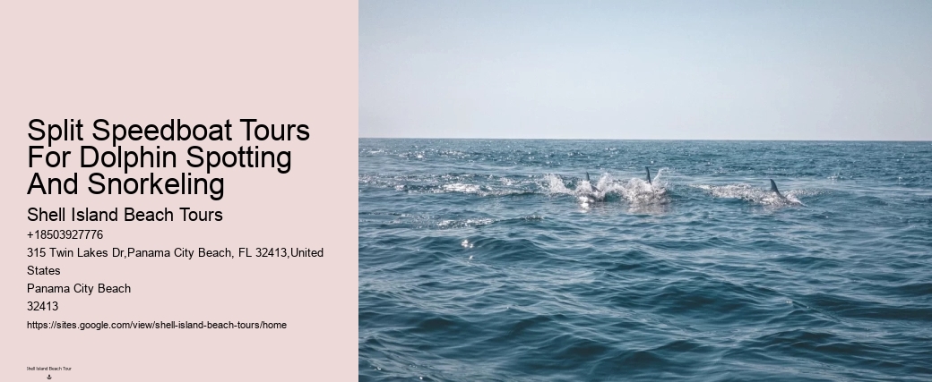 Do You Need To Know How To Swim To Swim With Wild Dolphins
