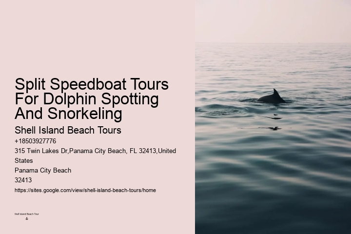 Get Started With Your Dolphin