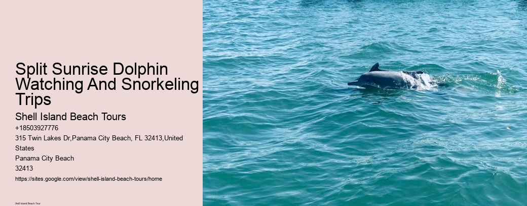 Split Sunrise Dolphin Watching And Snorkeling Trips