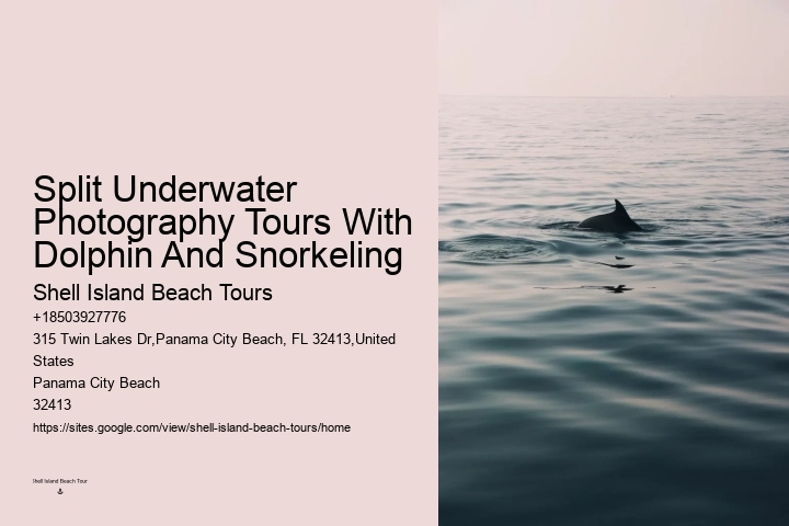 Split Sunrise Dolphin Watching And Snorkeling Trips
