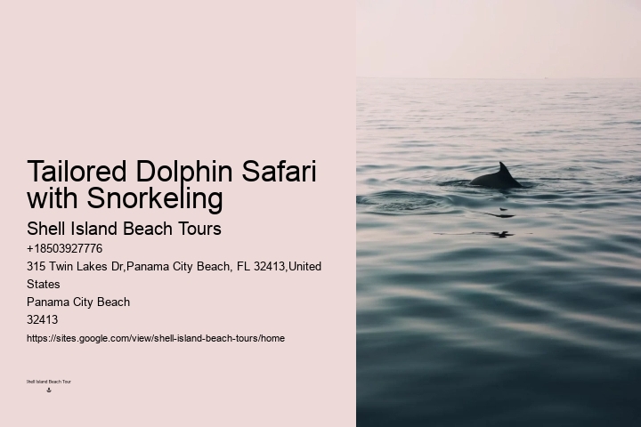 Luxury Dolphin Safari with Snorkeling