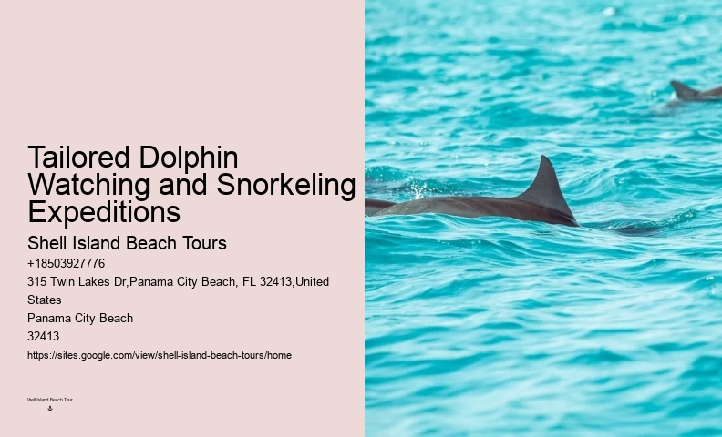 Why You Should Not Swim With Dolphins