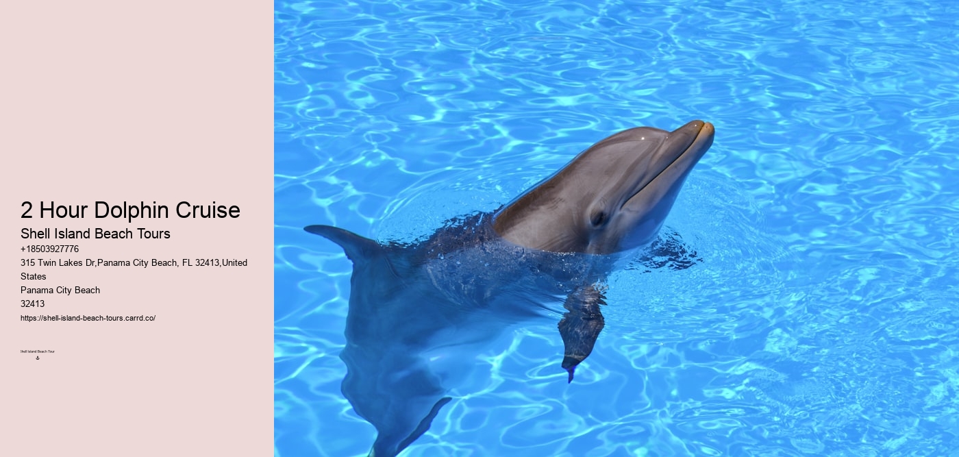 2 Hour Dolphin Cruise