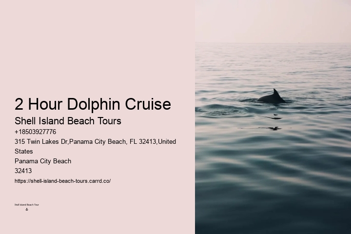 Charter Dolphin Snorkeling
