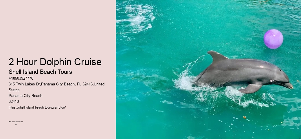 Split Adrenaline-pumping Dolphin And Snorkeling Adventures