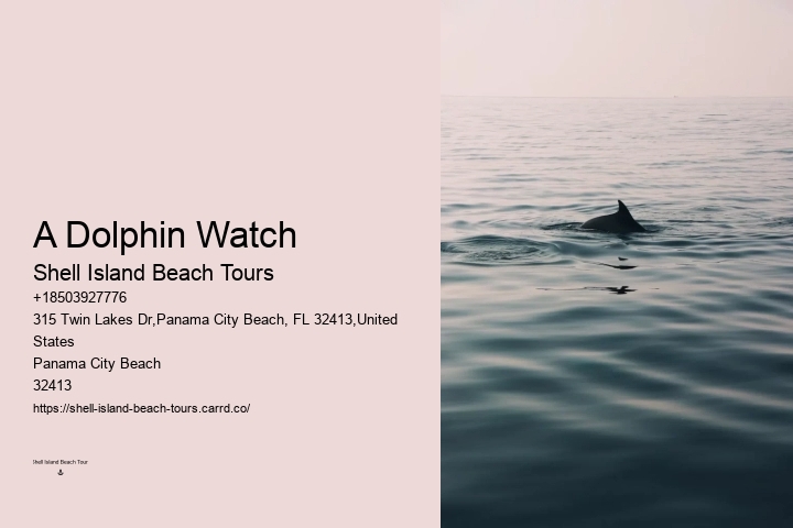 Dolphin Tours Rosemary Beach