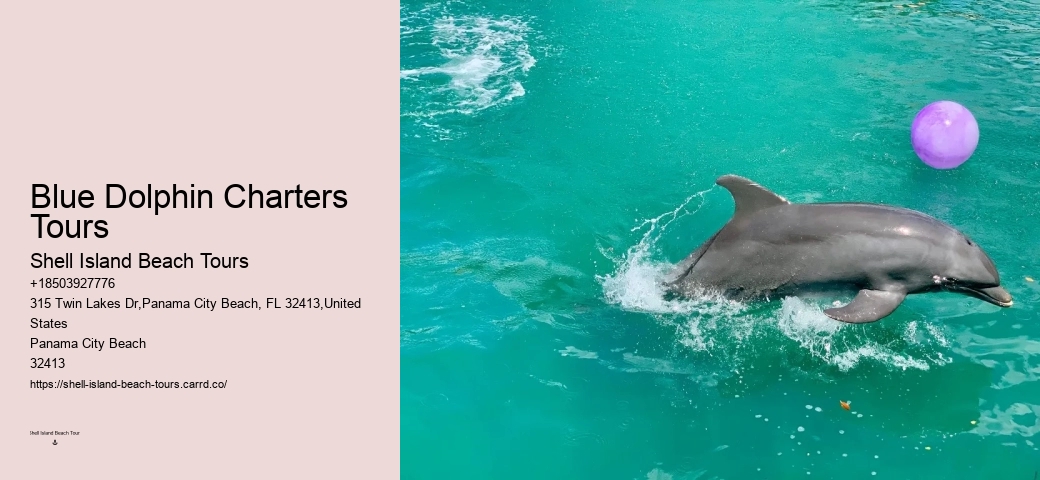 This Is How Dolphins 'see' Humans With Echolocation