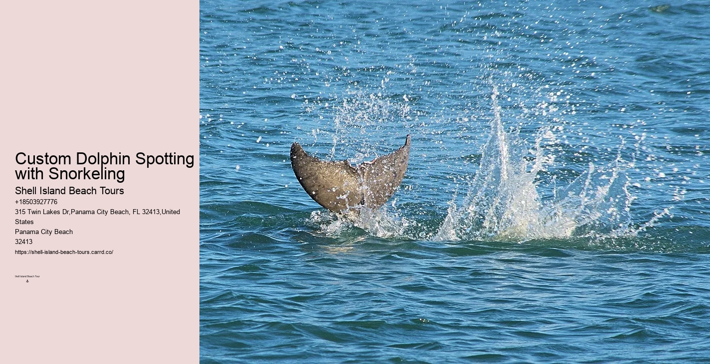 Blue Dolphin Charters Tours