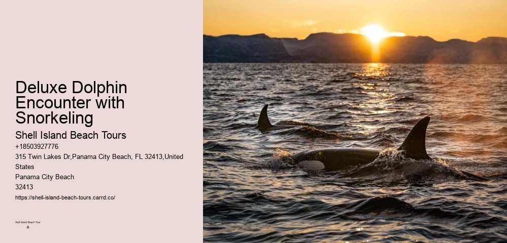Do Dolphins Befriend Humans