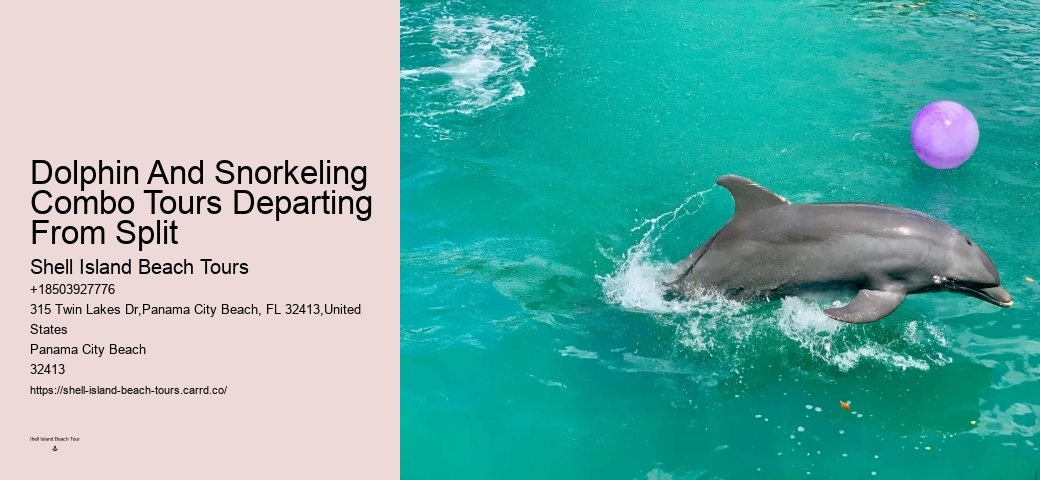 Can I Swim With Dolphins If I Can't Swim
