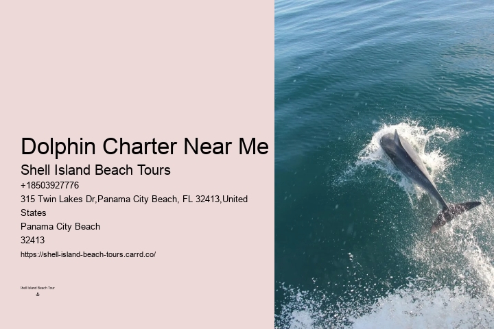Exclusive Dolphin Discovery and Snorkeling Trips