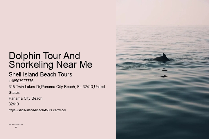 Secluded Dolphin Encounter and Snorkeling Experience