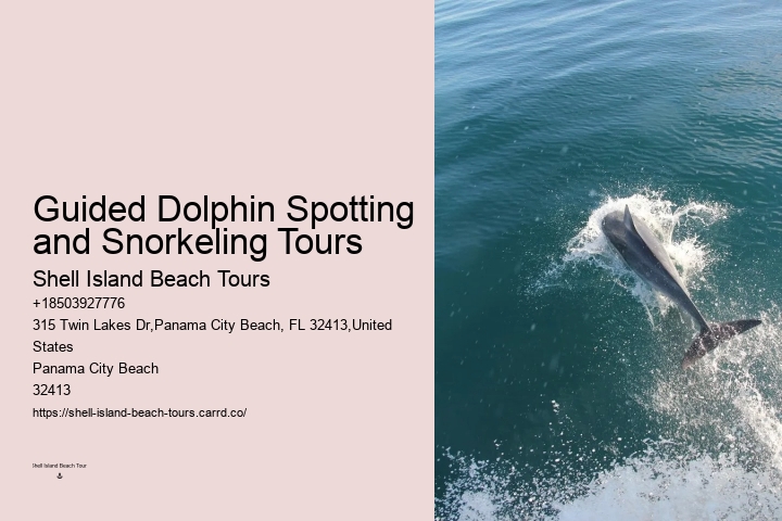 How long is the typical dolphin tour in Panama City Beach