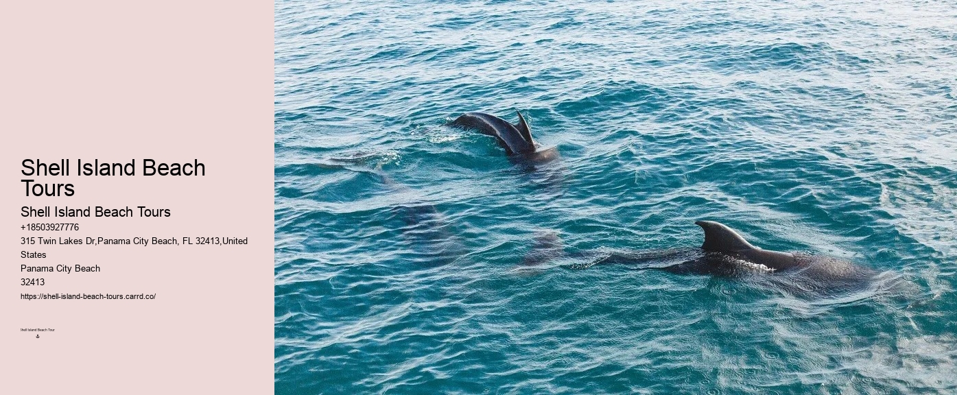 Panama City Beach Private Dolphin Tours