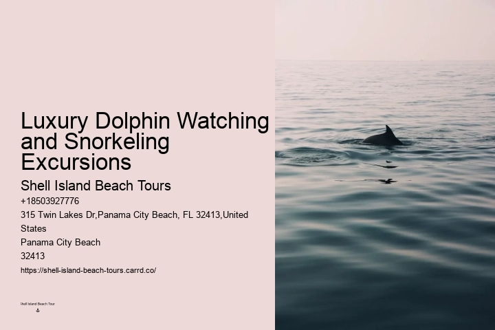 Can I bring my own food and drinks on the dolphin tour