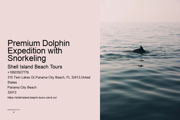 With Dolphins