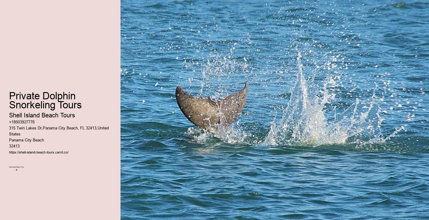 Snorkeling and Dolphin Tour