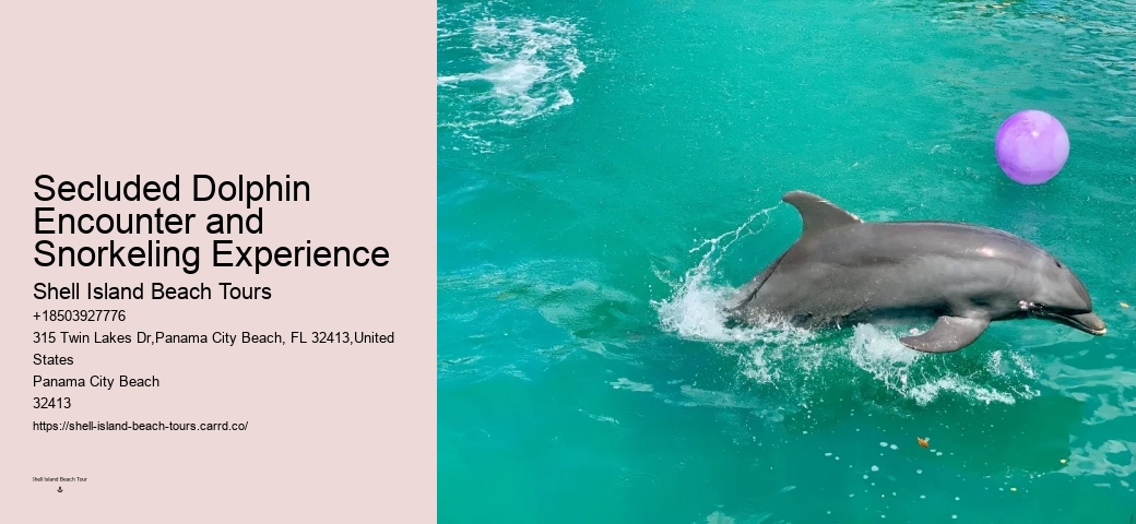 Do Dolphins Like To Be Touched