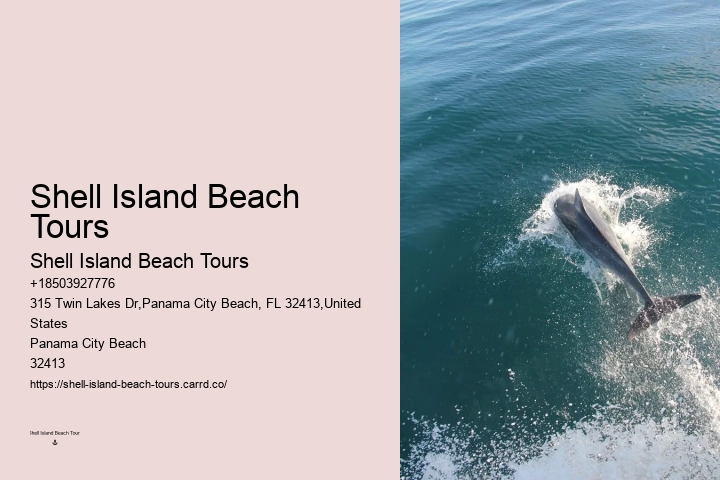 Private Dolphin Tours Gulf Shores