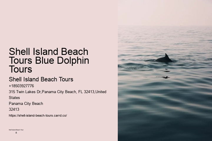 Split Personalized Snorkeling And Dolphin Charters