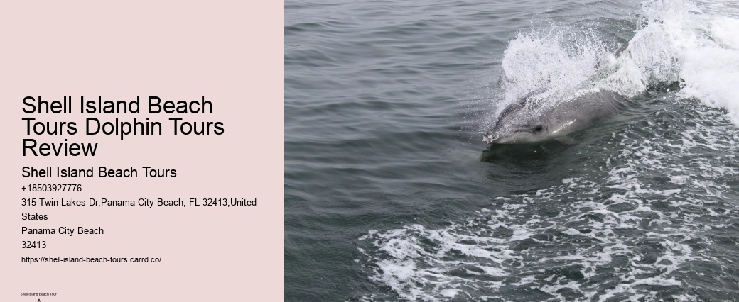 Are Dolphins Naturally Friendly Toward Humans